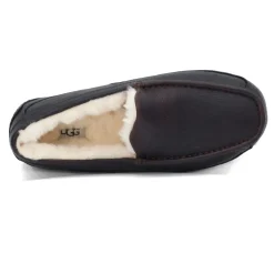 Slippers*UGG Men's , Ascot Slipper China Tea Leather