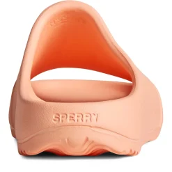 Women's , Windward Slide|Sperry New