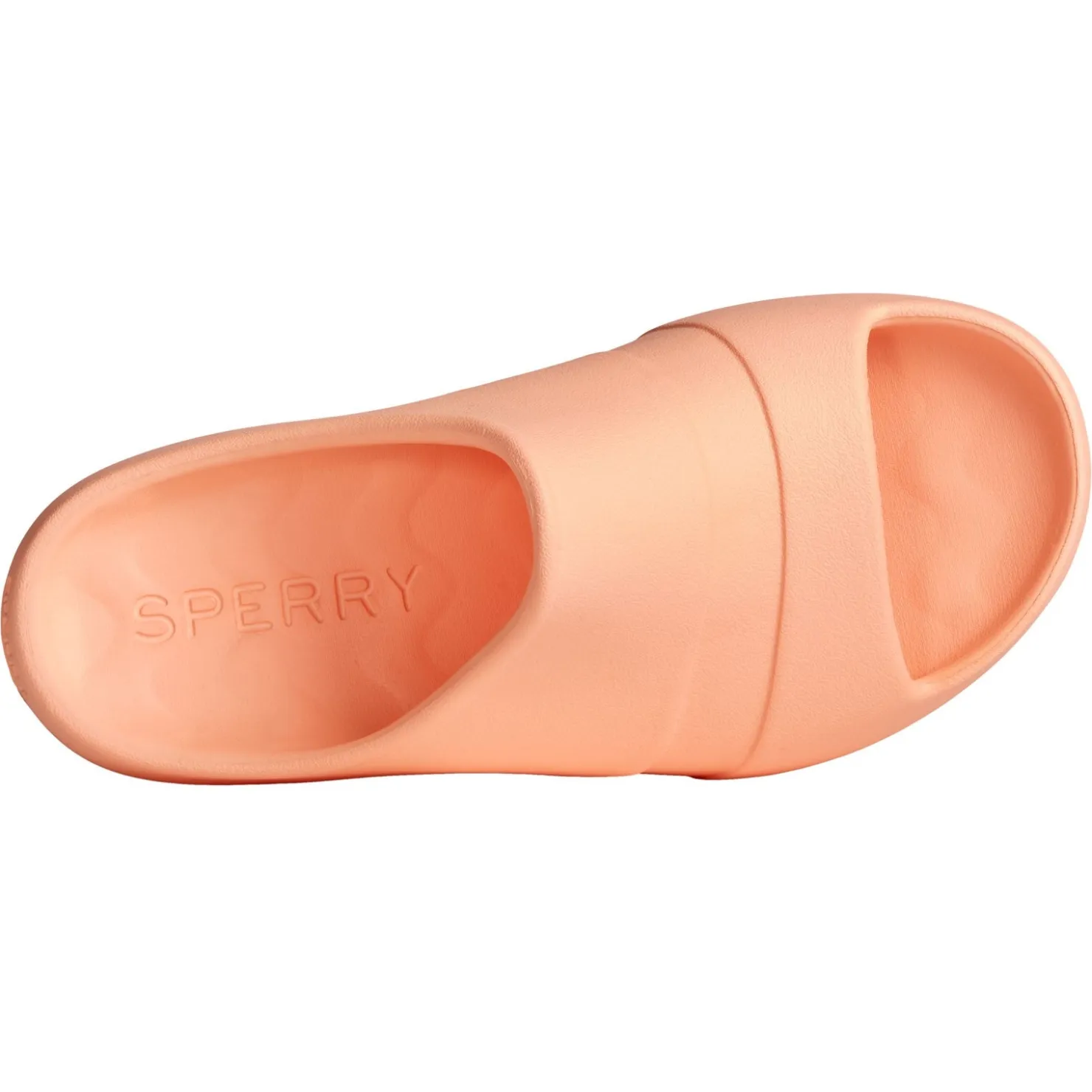 Women's , Windward Slide|Sperry New