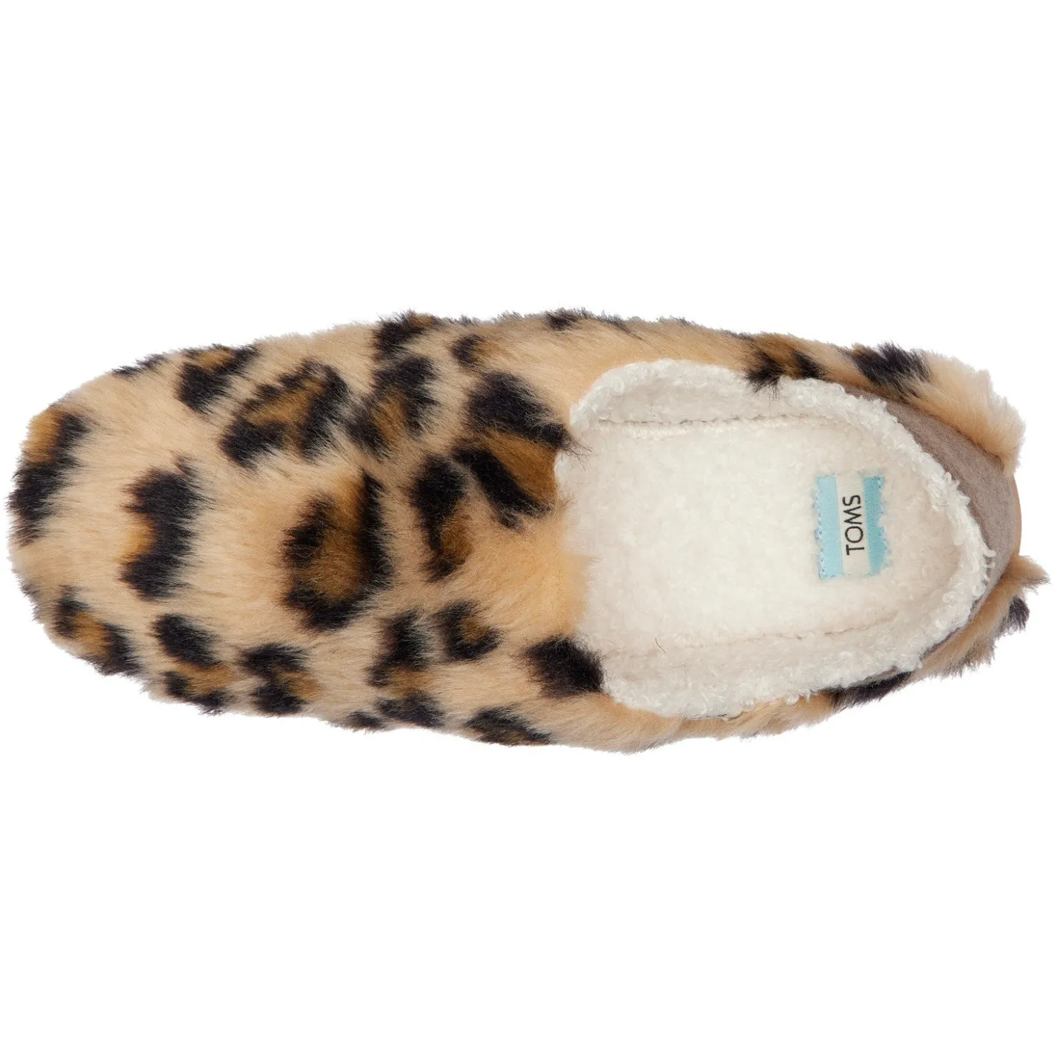 Women's , Ezra Slipper|TOMS Online