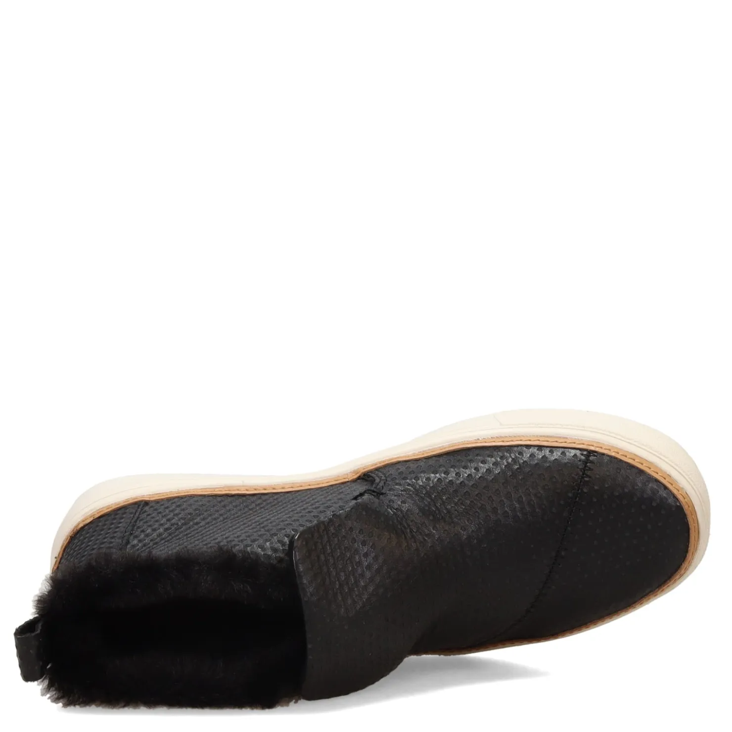 Women's , Paxton Sneaker|TOMS Best