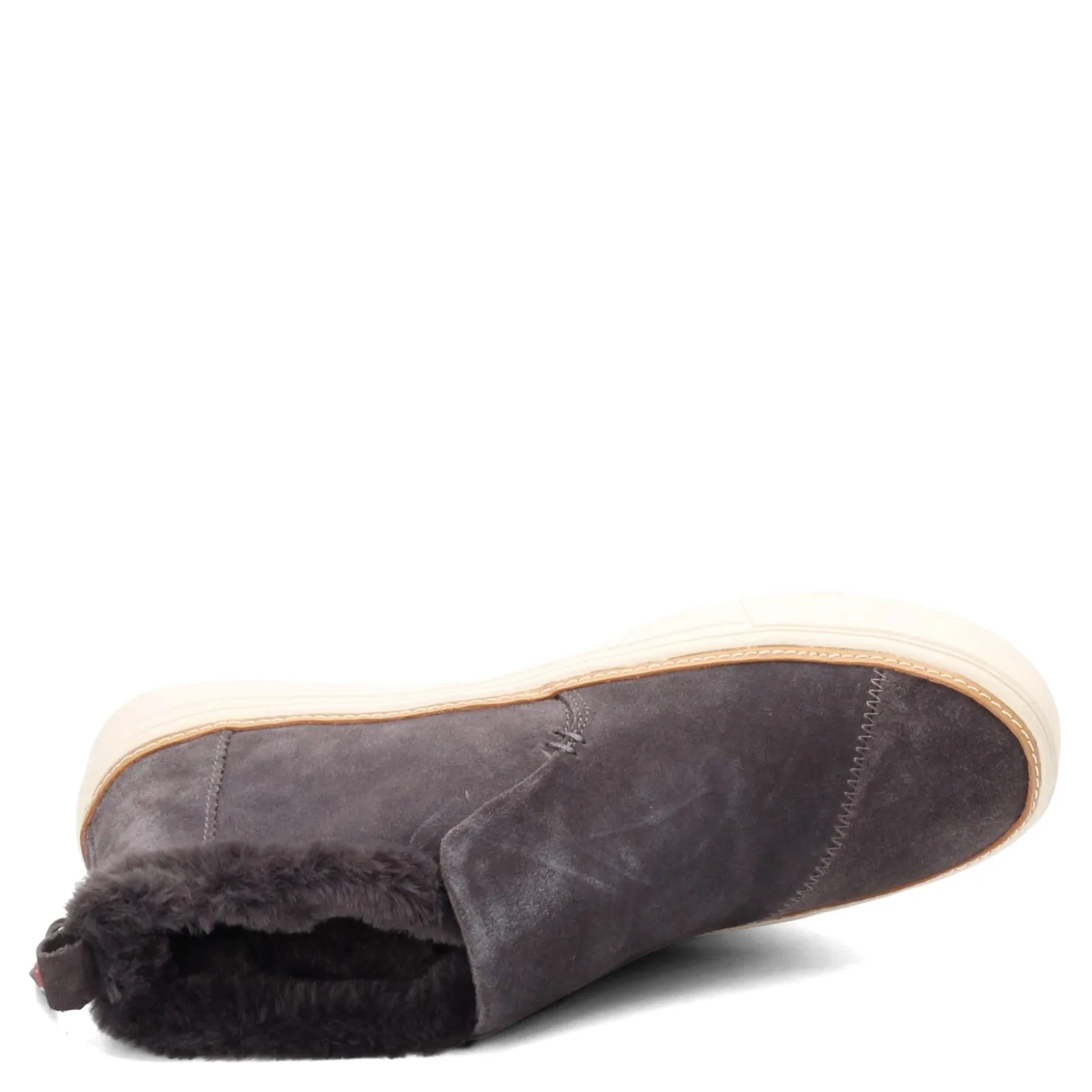 Women's , Paxton Sneaker|TOMS Discount